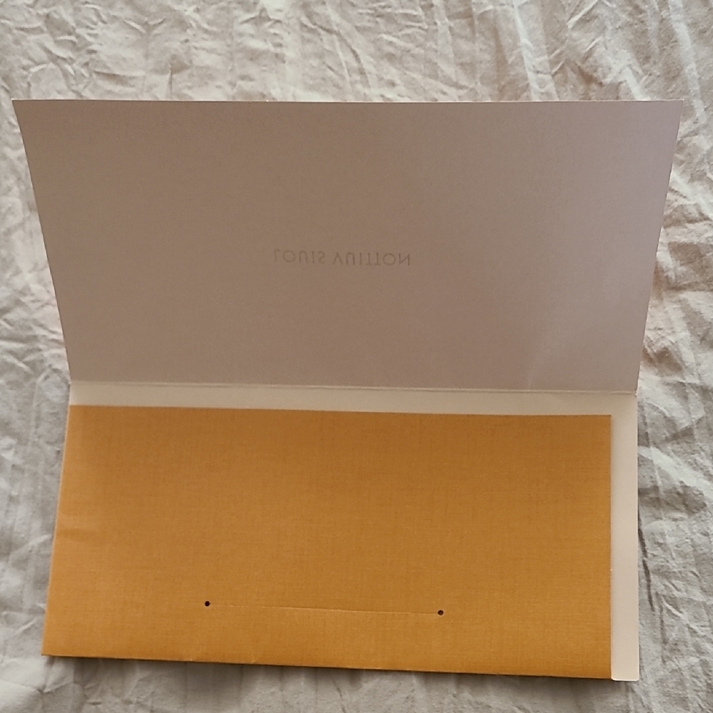 Louis Vuitton Envelope - Picture 2 of 3